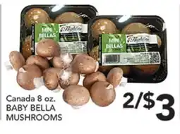 Pete's Fresh Market Canada 8 oz. BABY BELLA MUSHROOMS offer