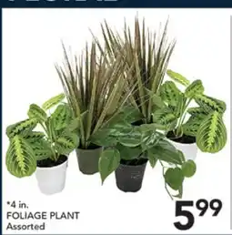 Pete's Fresh Market FOLIAGE PLANT offer
