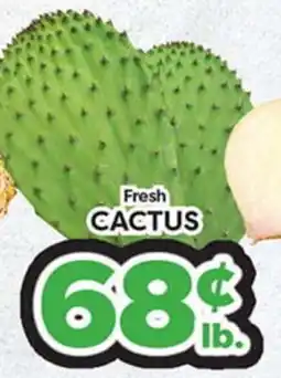 Torres Supermercado Fresh CACTUS offer