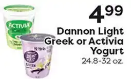 Rich's Fresh Market Dannon Light Greek or Activia Yogurt offer