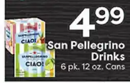 Rich's Fresh Market San Pellegrino Drinks offer