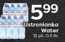 Rich's Fresh Market Ustronianka Water offer