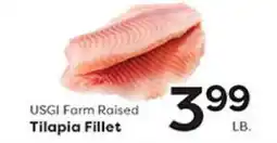 Rich's Fresh Market USGI Farm Raised Tilapia Fillet offer