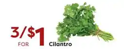 Rich's Fresh Market Cilantro offer