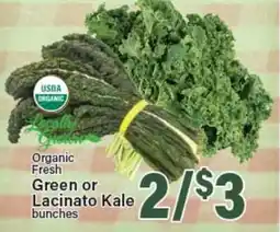 Angelo Caputo's Fresh Market Organic Fresh Green or Lacinato Kale bunches offer