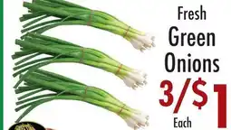 Garden Fresh Market Fresh Green Onions offer