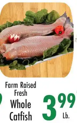 Garden Fresh Market Farm Raised Fresh Whole Catfish offer