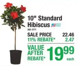 Menards Standard Hibiscus offer