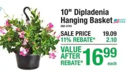 Menards Dipladenia Hanging Basket offer