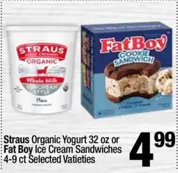 Super King Markets Fat Boy Ice Cream Sandwiches offer