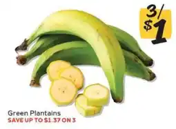 Winn Dixie Green Plantains offer
