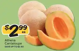 Winn Dixie Athena Cantaloupe offer