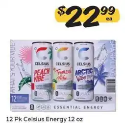 Winn Dixie Celsius Energy offer