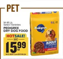Food Lion Pedigree Dry Dog Food offer