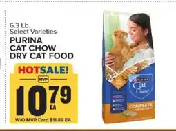 Food Lion Purina Cat Chow Dry Cat Food offer