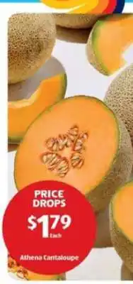 Aldi Athena Cantaloupe offer