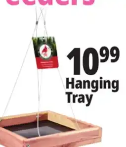 Ocean State Job Lot Hanging Tray offer