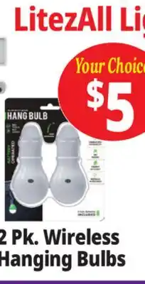 Ocean State Job Lot LitezAll Lights 2 Pk. Wireless Hanging Bulbs offer