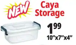 Ocean State Job Lot 10x7x4 Caya Storage offer