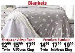 Ocean State Job Lot Blankets offer