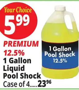 Ocean State Job Lot Liquid Pool Shock 1 Gal offer