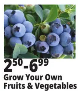 Ocean State Job Lot Grown Your Own Fruits & Vegetables offer