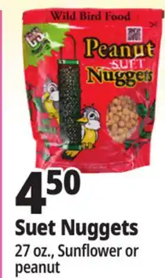 Ocean State Job Lot Suet Nuggets offer
