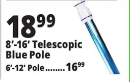 Ocean State Job Lot SwimWorks Telescopic Aluminum Pole offer