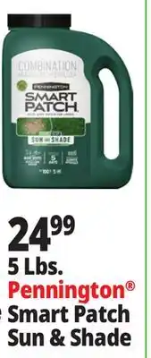 Ocean State Job Lot Pennington Smart Patch Grass Seed Fertilizer Mulch 5 lbs offer