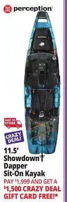 Ocean State Job Lot Perception Showdown 11.5 Fishing Pedal Kayak Dapper offer