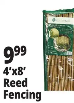 Ocean State Job Lot 4'x8' Reed Fencing offer
