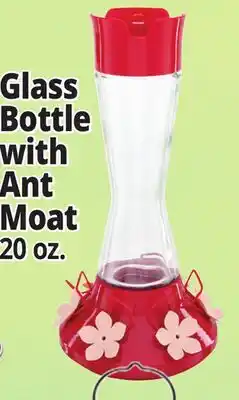 Ocean State Job Lot Glass Bottle with Ant Moat offer