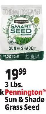 Ocean State Job Lot Pennington Smart Seed Sun & Shade Grass Seed 3 lbs offer