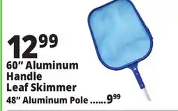 Ocean State Job Lot SwimWorks Leaf Skimmer with Aluminum Pole 60 offer