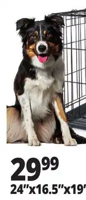 Ocean State Job Lot Small Pet Crate 24 x 16.5 x 19 offer