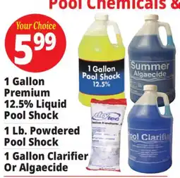 Ocean State Job Lot DryTec Powdered Pool Shock 1 lb offer