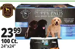 Ocean State Job Lot Huntington Pet Products Professional Grade 24 x 24 Puppy Pads with Odor Eliminators 100 Count offer