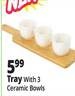 Ocean State Job Lot Tray offer