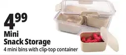 Ocean State Job Lot Mini Snack Storage offer