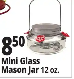 Ocean State Job Lot Mini Glass Mason Jar offer