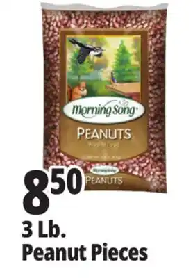 Ocean State Job Lot Audubon Peanut Pieces Bird Seed 3lb offer