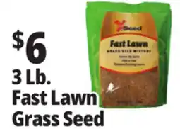 Ocean State Job Lot Fast Lawn Grass Seed offer