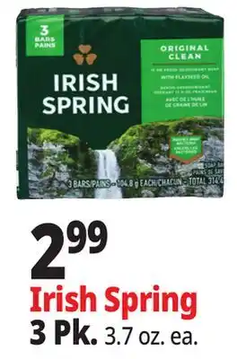 Ocean State Job Lot Irish Spring offer