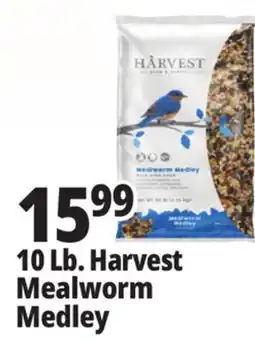 Ocean State Job Lot Harvest Seed & Supply Mealworm Medley Wild Bird Food 10 lb offer
