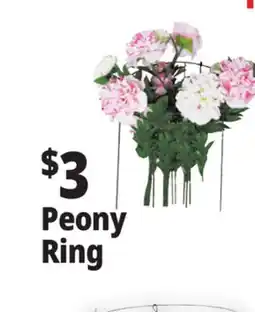 Ocean State Job Lot Single Ring Plant Support offer
