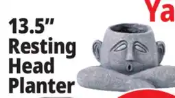 Ocean State Job Lot 13.5 Resting Head Planter offer