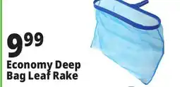 Ocean State Job Lot SwimWorks Economy Deep Bag Leaf Rake offer