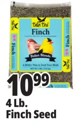 Ocean State Job Lot Better Bird Finch Bird Food 4 lbs offer
