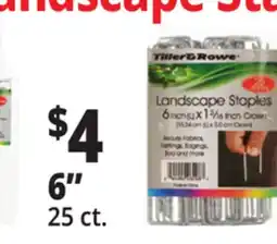 Ocean State Job Lot Tiller & Rowe 6 Landscape Staples 25 Count offer