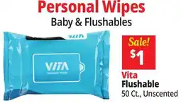 Ocean State Job Lot Vita Flushable Personal Wipes offer